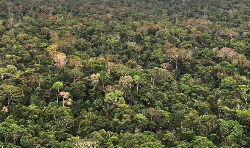 MPRO ingressa com Ação Civil Pública contra envolvido no desmatamento de reserva em Campo Novo de Rondônia