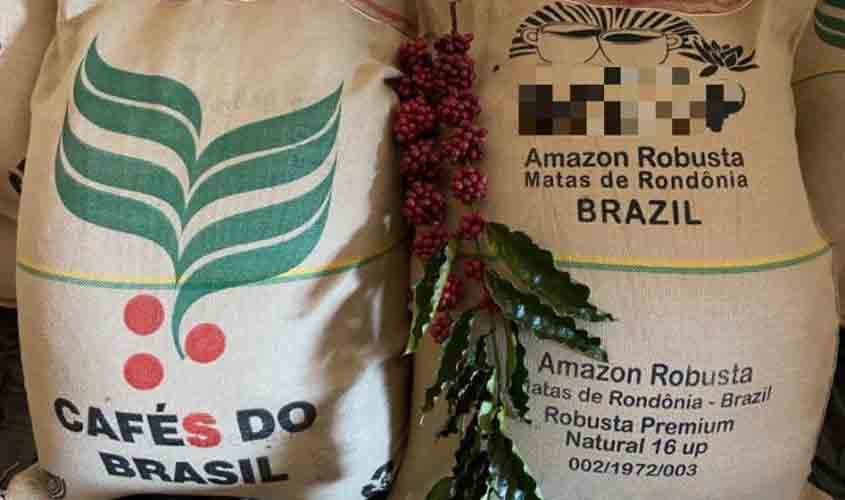 Novo preço mínimo para a saca de café conilon robusta de Rondônia durante a safra de 2021/22 é estabelecido
