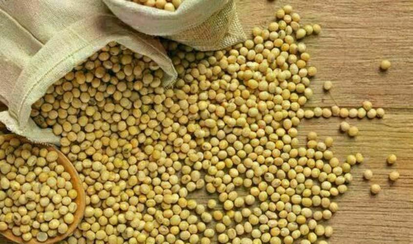 Preço da soja sobe no Paraná