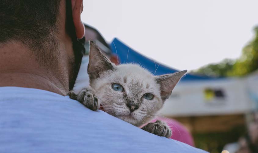 3ª Feira de Adoção de Animais acontece no dia 28 de maio no Parque Jardim das Mangueiras