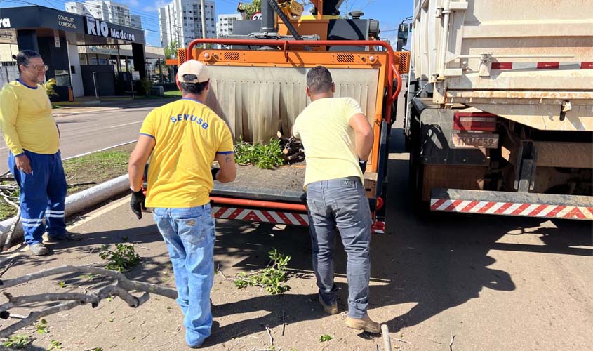 Ação integrada transforma resíduos de poda em compostagem