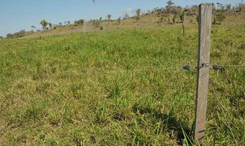 Sedam lança plataforma digital que emite autorização para uso controlado de fogo em áreas de vegetação em Rondônia