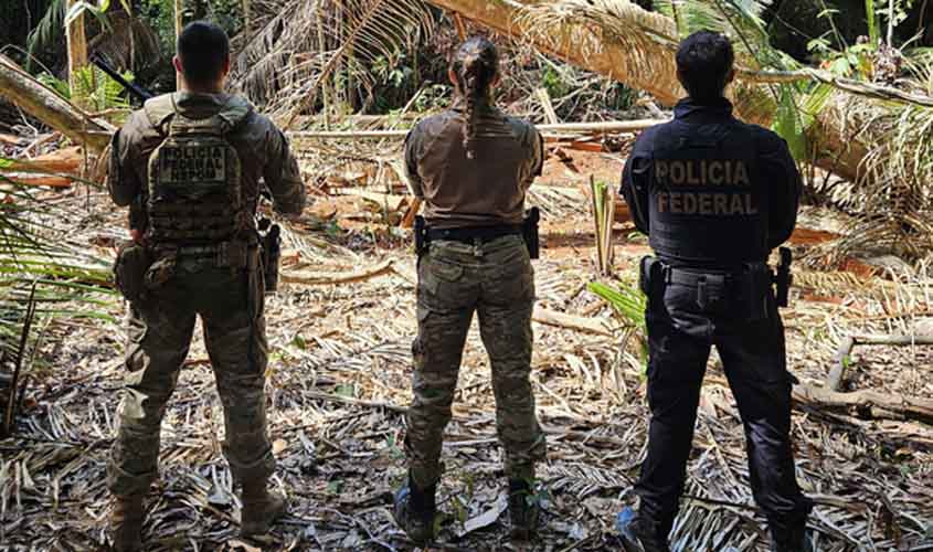 PF deflagra operação contra crimes ambientais em Terra Indígena em Rondônia