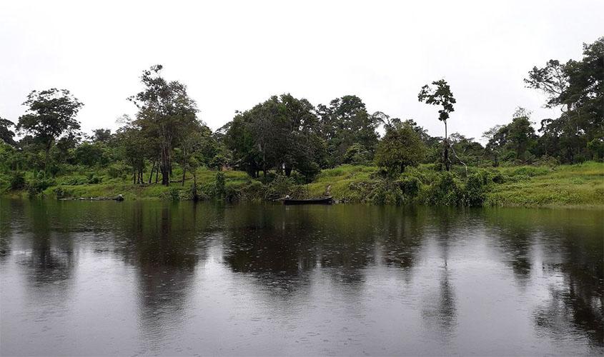 Embrapa coleta bactérias e fungos com potencial econômico na Amazônia