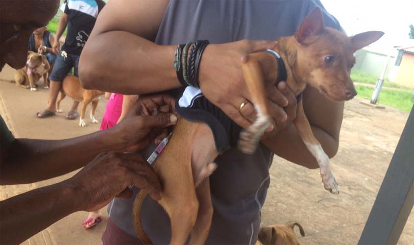 Devido a cronograma do Ministério da Saúde, vacinação será adiada para 2020