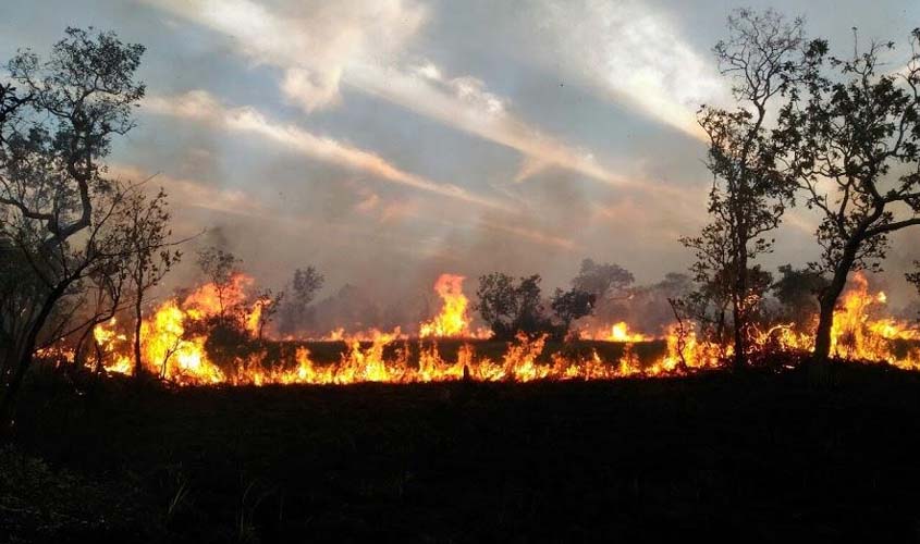 TCE quer  saber sobre medidas de prevenção e combate a queimadas em Rondônia