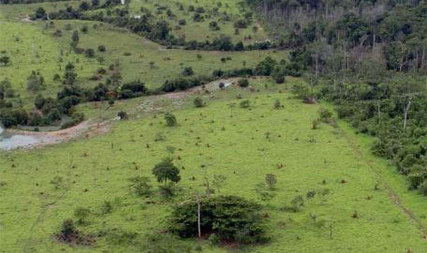 Começa hoje prazo para entrega da declaração de propriedade rural