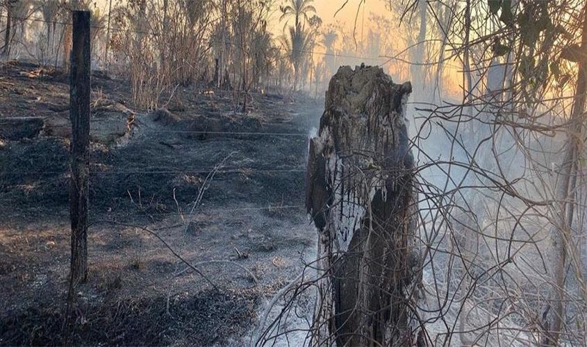 Governo de Rondônia realiza ações preventivas e repressivas contra delitos ao meio ambiente