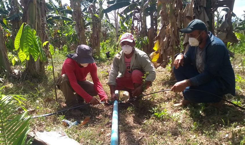 Espécies frutíferas são aliadas na conservação da natureza