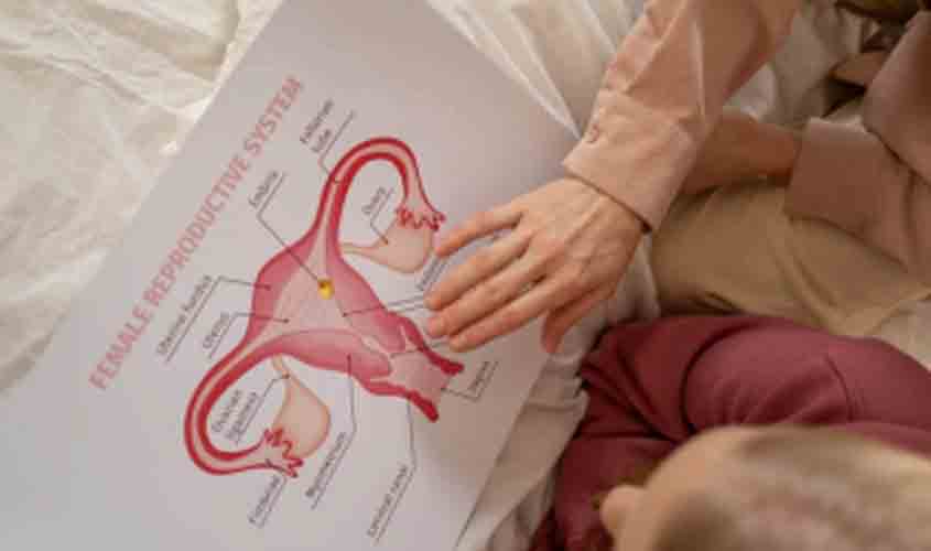 Câncer de colo de útero: o que fazer para eliminar a doença?