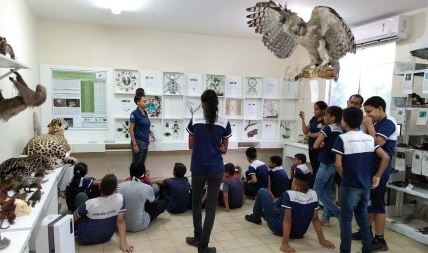 Coleções Biológicas da UNIR retornam com visitas presenciais guiadas