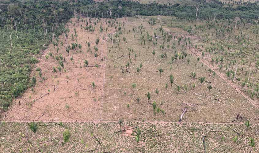 Proteção do meio ambiente: MPRO e IMAZON fazem Termo de Cooperação Técnica