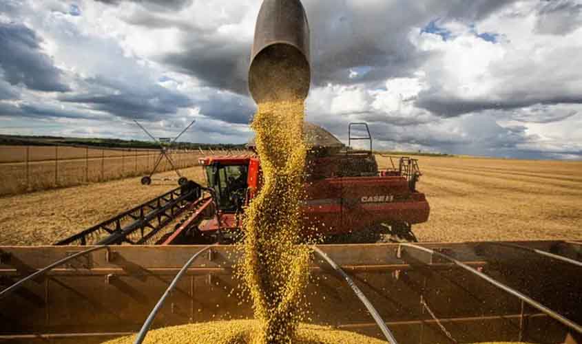 Rondônia amplia área produtiva e produtividade e chega a 5,4 milhões de toneladas de grãos na safra 24/25