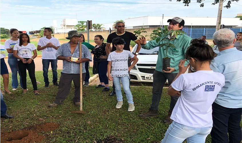 Mudas de 500 árvores são plantadas no canteiro central da Avenida Juscelino Kubitschek