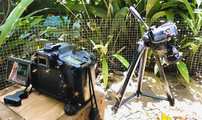 VIDA, O QUE É? Curta-metragem traz reflexões sobre a vida 