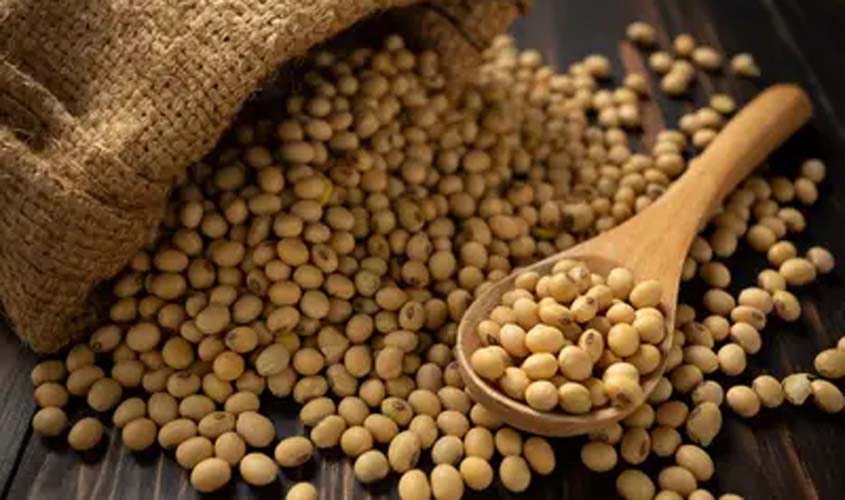 Cotações da soja e do trigo nesta quarta (12)