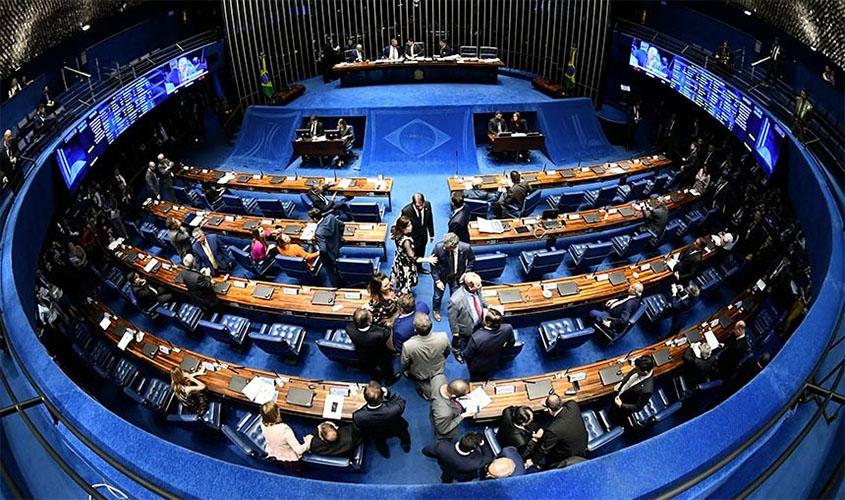 Aprovado projeto que veda a eliminação de cães, gatos e aves em órgãos de controle de zoonoses