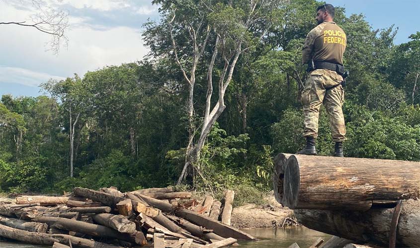 Operação desarticula grupo criminoso responsável por desmatamento ilegal em Terra Indígena