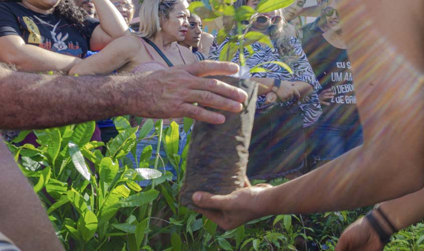 Prefeitura distribui mais de 300 mudas de espécies nativas