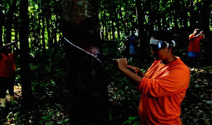 Exposição de arte dá destaque à mulher seringueira