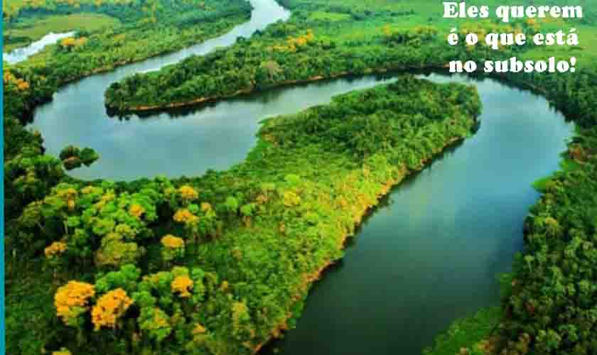 Será só paronoia ou há mesmo um projeto na Onu para a internacionalização da Amazônia?