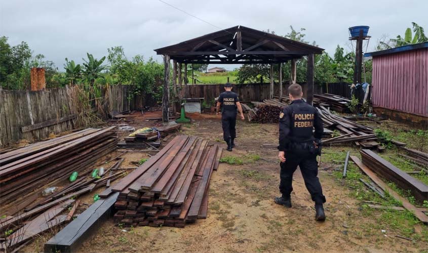 PF deflagra operação para combater grupo responsável por fraudes em DOF, comercialização e transporte ilegal de madeira