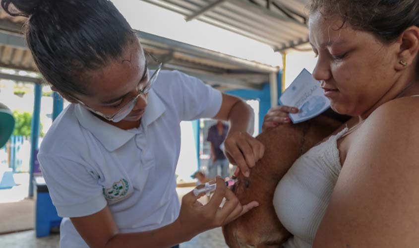 Vacinação para cães e gatos será realizada nos condomínios do Bairro Novo