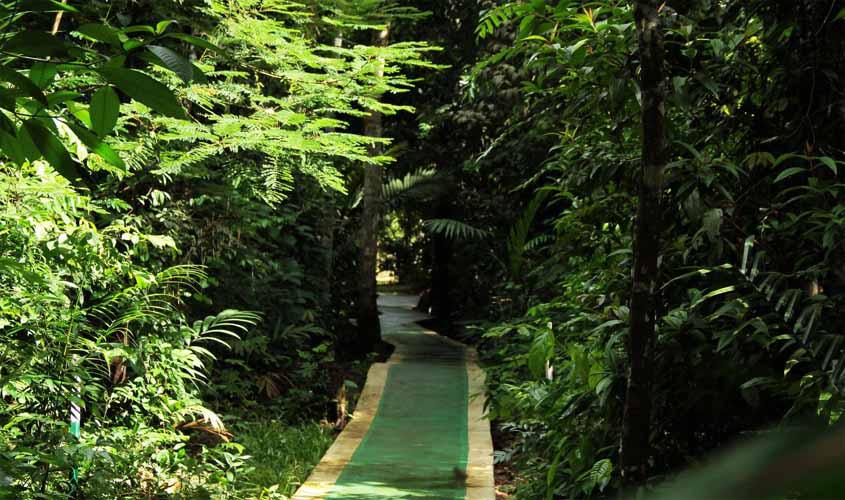 Governo de Rondônia regulamenta as regras para dispensa de licenciamento ambiental