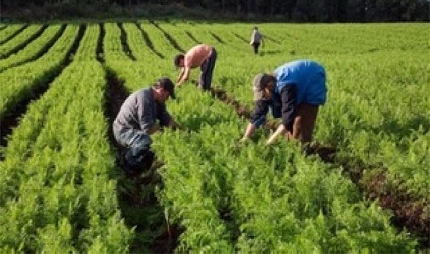 Débitos de agricultores familiares terão desconto na liquidação