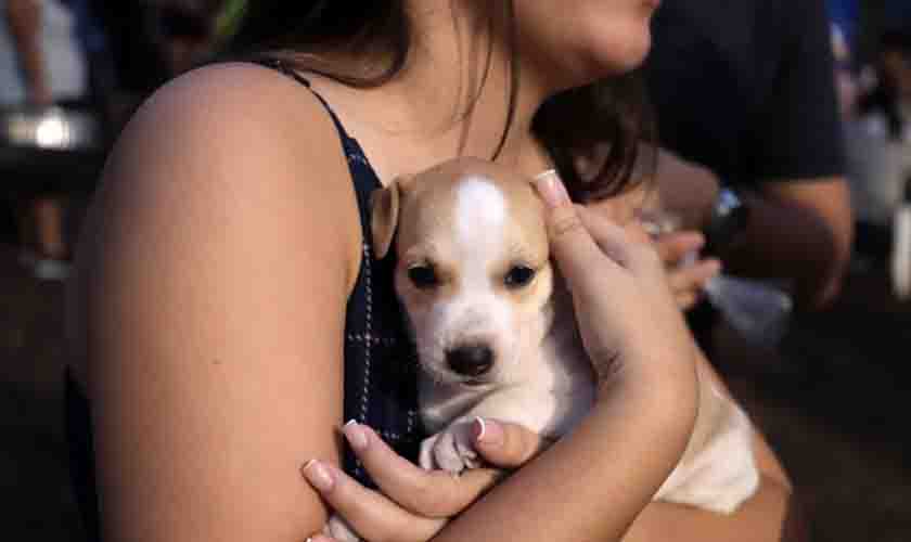 Porto Velho auxilia ONGs de bem-estar animal com doação de 5 mil quilos de ração