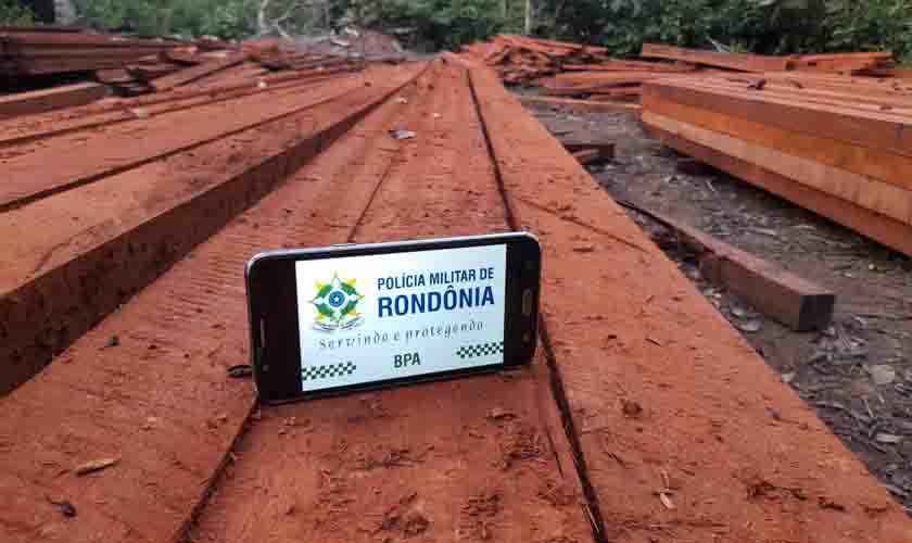 Polícia Militar de Rondônia apreende 200 metros cúbicos de madeira extraída clandestinamente