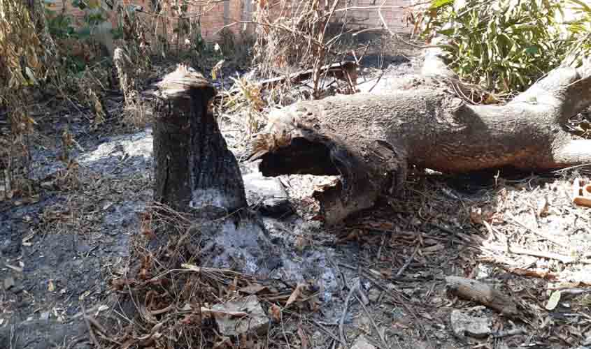 Combate a queimadas é reforçado durante a estiagem