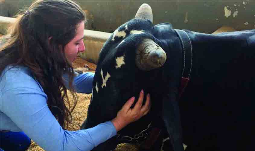 No Dia do Zootecnista, profissional que zela pela saúde dos animais e produção de alimentos sustentáveis é homenageado