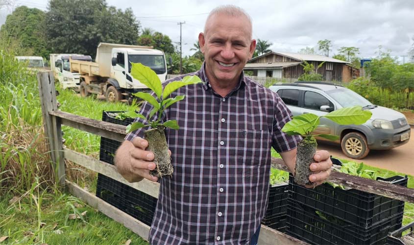 Deputado destina recursos para mudas de café em Santa Luzia D’Oeste