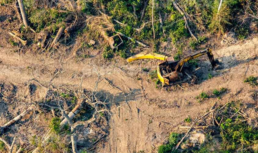 Após investigação do Greenpeace, AGU propõe cadastro nacional de escavadeiras do garimpo