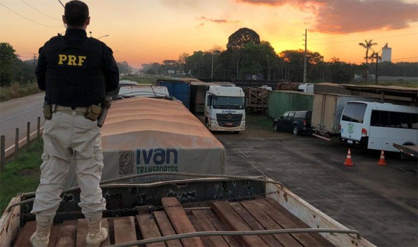 PRF em Rondônia registra aumento expressivo nas atividades de enfrentamento aos crimes ambientais