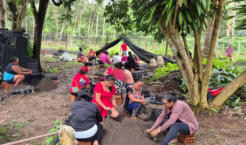 Mulheres da Amazônia se unem para enfrentar as mudanças climáticas