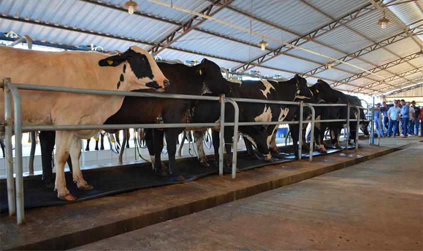 Parceria visa melhoramento genético de animais