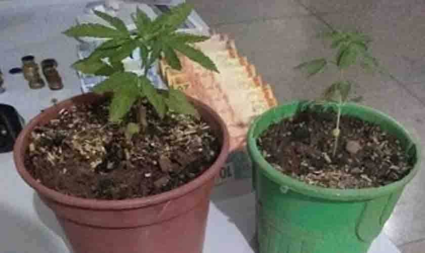 Em 72 horas PM apreende quase 2 kg de drogas, dois pés de maconha e suspeitos
