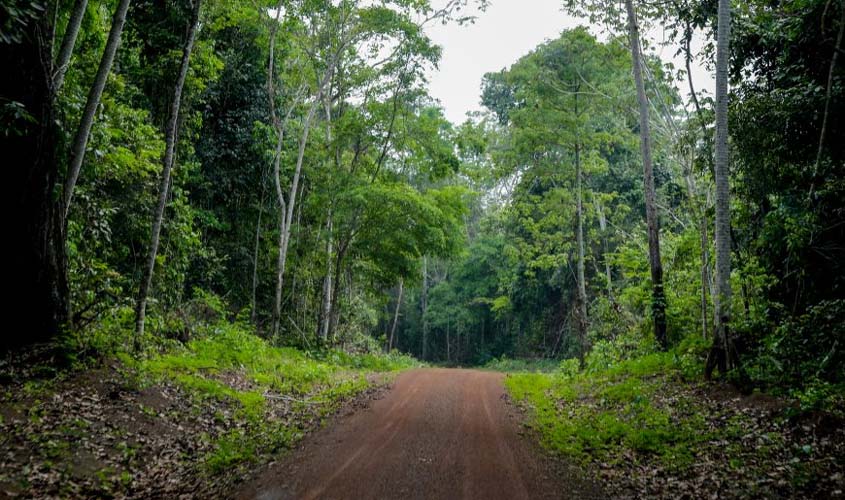 Governo de Rondônia organiza a Resex Rio Cautário para créditos de carbono; famílias recebem bolsa mensal de R$ 1 mil