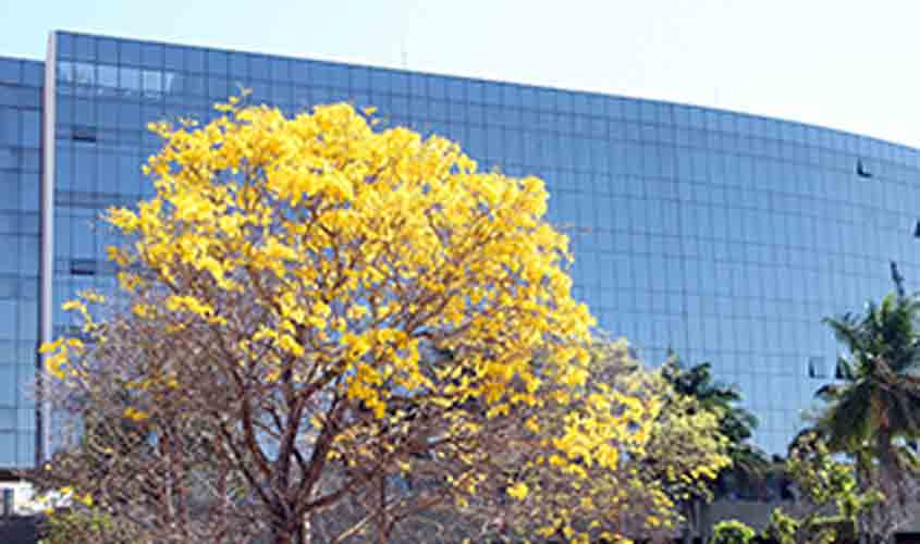 Ministro nega realização de incidente de insanidade mental em denunciado por contrabando de cigarro