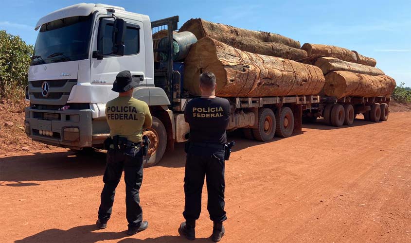 PF RO apreende caminhão com madeira ilegal extraída de Terra Indígena