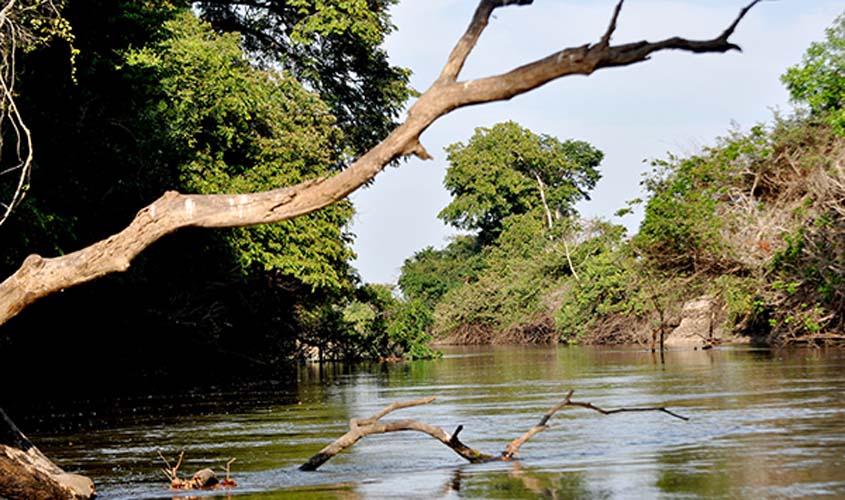 Projeto que cria em Rondônia governança climática e serviços ambientais é aprovado no Legislativo