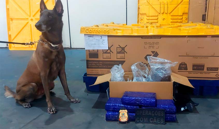 PM apreende 5 kg de maconha em depósito dos Correios