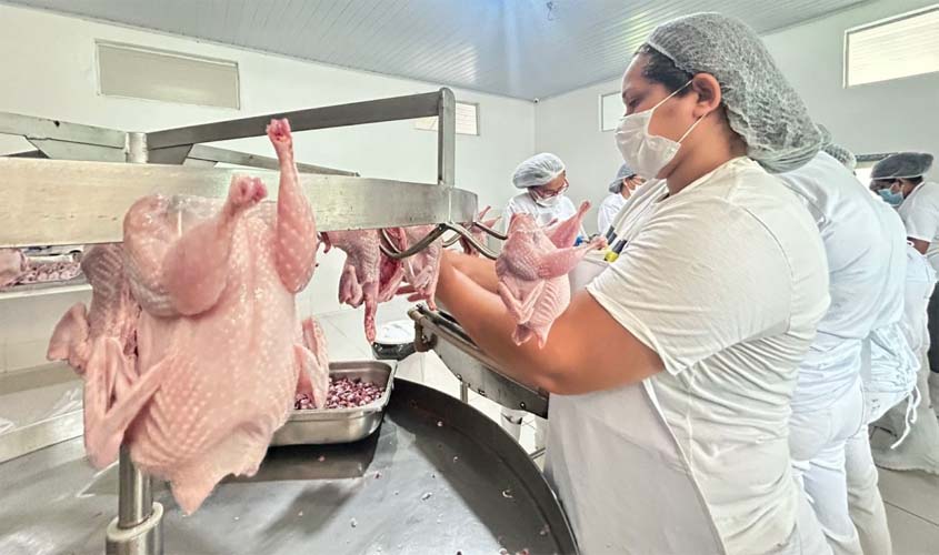 SIM garante segurança no abate de codornas em Porto Velho