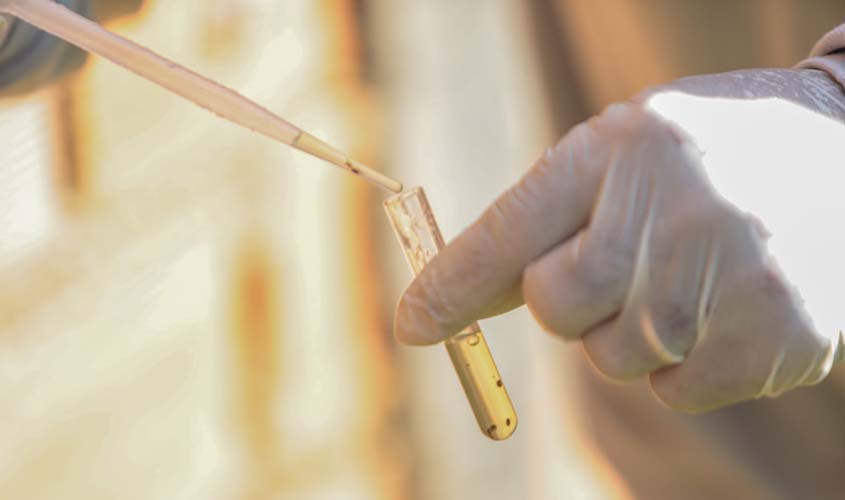 Ações de combate à malária são reforçadas em Porto Velho