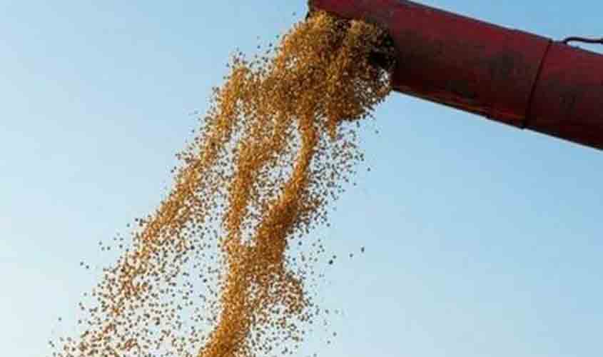 Soja recua 0,73% no Paraná