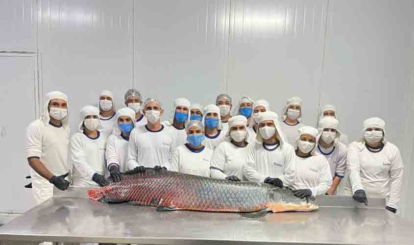 Integração amplia área de comércio à indústria de peixes