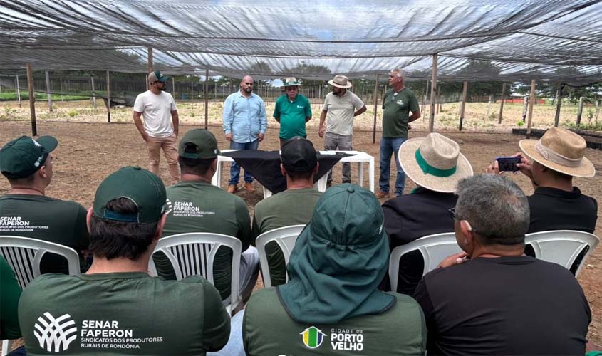Acordo impulsiona produção de mudas de cacau