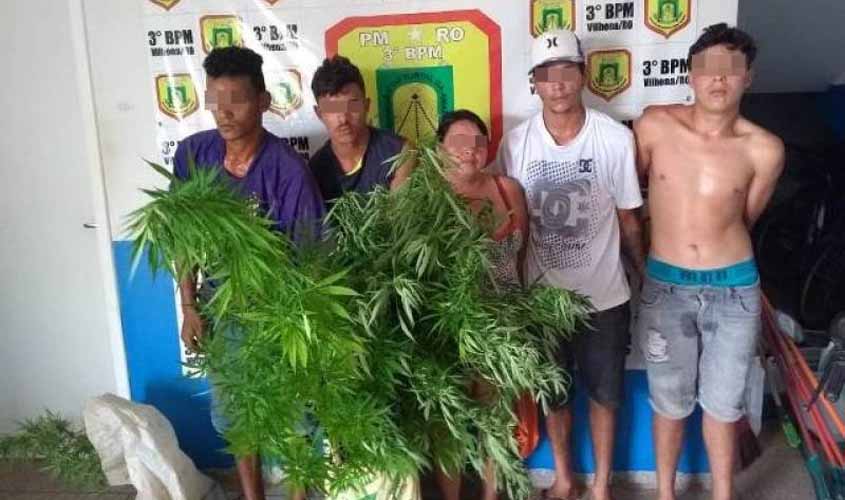 Ligação anônima leva polícia a prender família que cultivava pés de maconha em casa